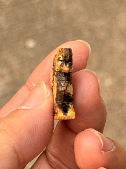 สิงห์สามขวัญหลวงพ่อเดิม รูปที่ 9