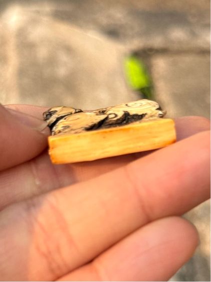 สิงห์สามขวัญหลวงพ่อเดิม รูปที่ 12