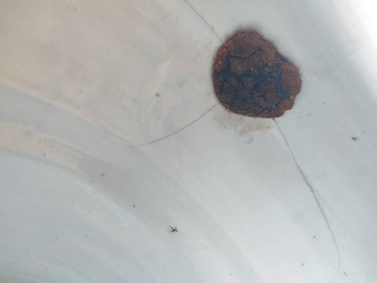 กะโถนปังเคย สูง 7นิ้ว ปากกว้าง 7 นิ้วกว่า น้ำหนักเบา  มีตำหนิ เหมาะไว้ศึกษษ รูปที่ 7