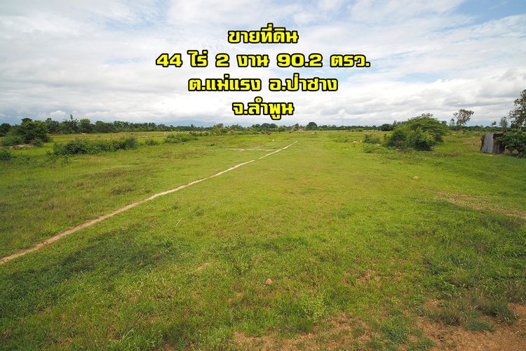 ขายที่ดินลำพูน ขายที่ดินป่าซาง ที่ดินผืนใหญ่ ดอนตอง