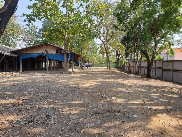 ขายที่ดินเชียงใหม่ ขายที่ดินบ่อสร้าง ต้นเปา ติดถนนใหญ่