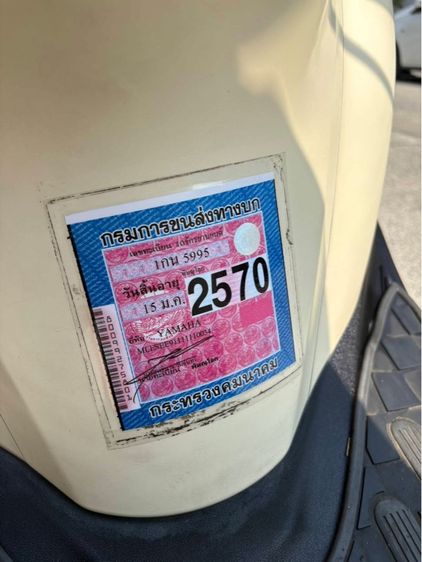 Grand filano รูปที่ 12