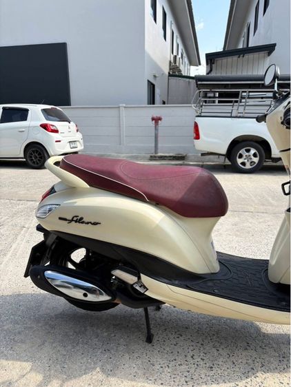 Grand filano รูปที่ 9