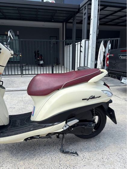 Grand filano รูปที่ 5