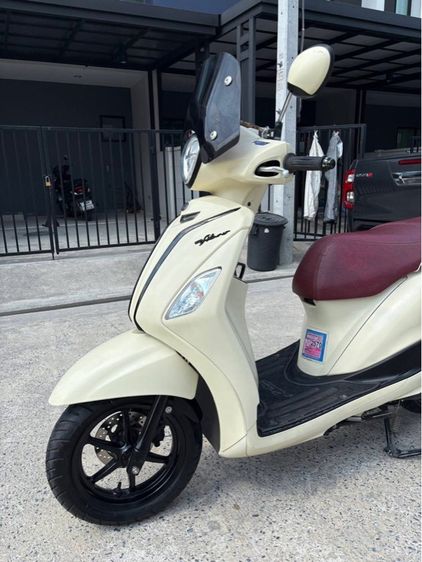 Grand filano รูปที่ 4