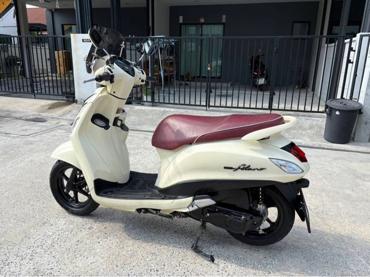 Grand filano รูปที่ 13