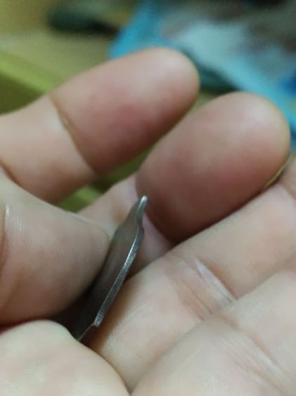 หลวงพ่อโสธร รูปที่ 13