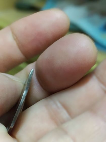 หลวงพ่อโสธร รูปที่ 14