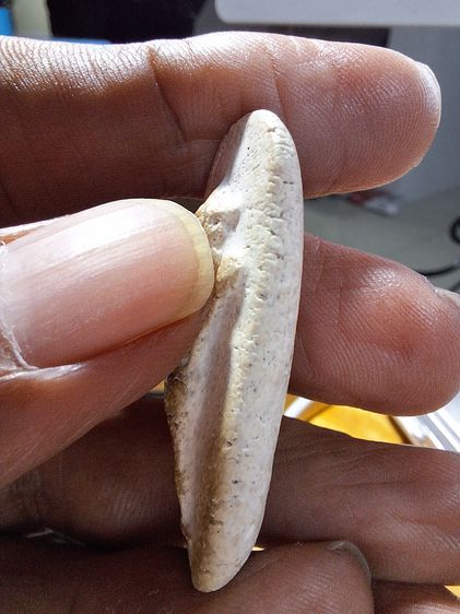 พระผง วัดพลับ พิมพ์วันทา รูปที่ 3