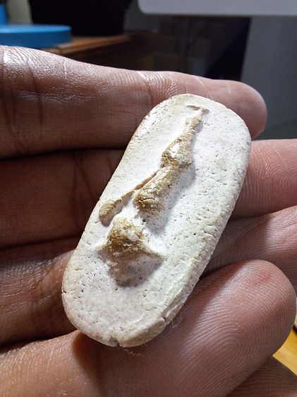 พระผง วัดพลับ พิมพ์วันทา รูปที่ 5