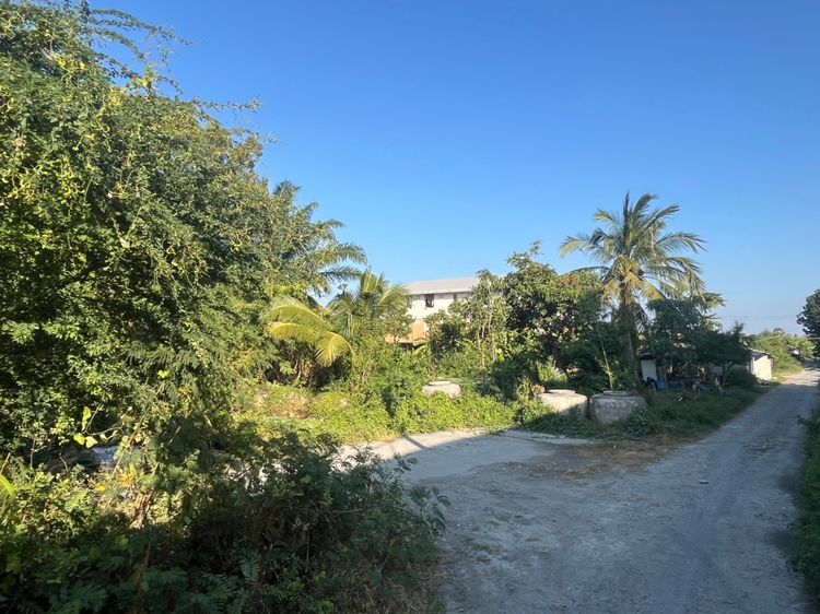 ที่ดินเปล่า รูปที่ 3