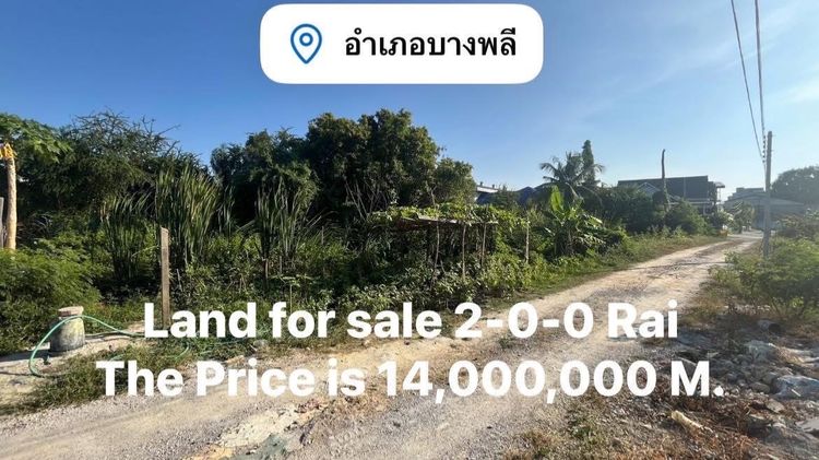 ที่ดินเปล่า