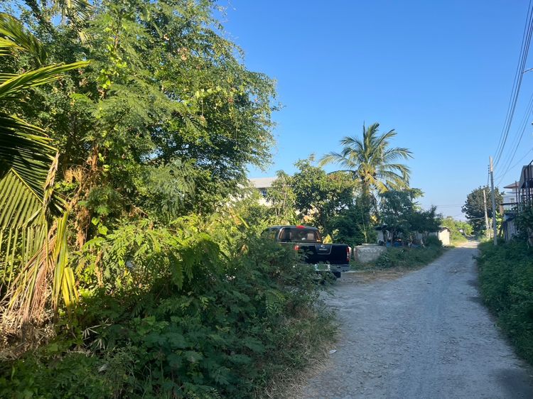 ที่ดินเปล่า รูปที่ 4