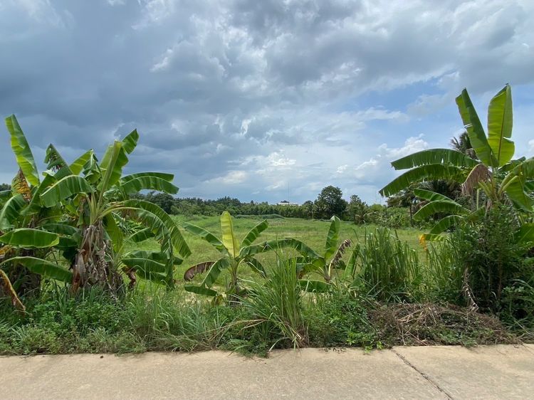 ที่ดิน รูปที่ 3