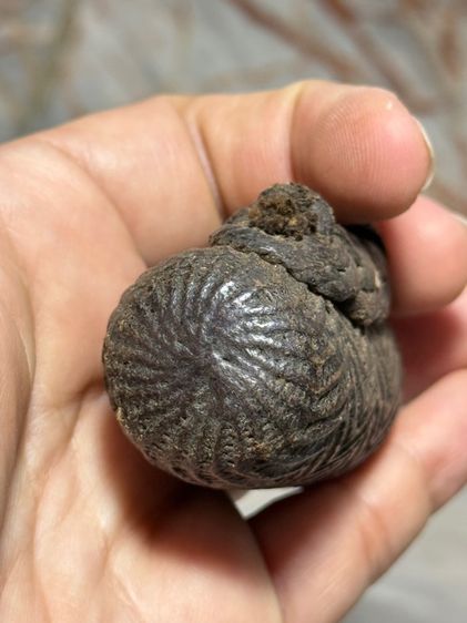 พระเก่าที่บ้าน รูปที่ 6