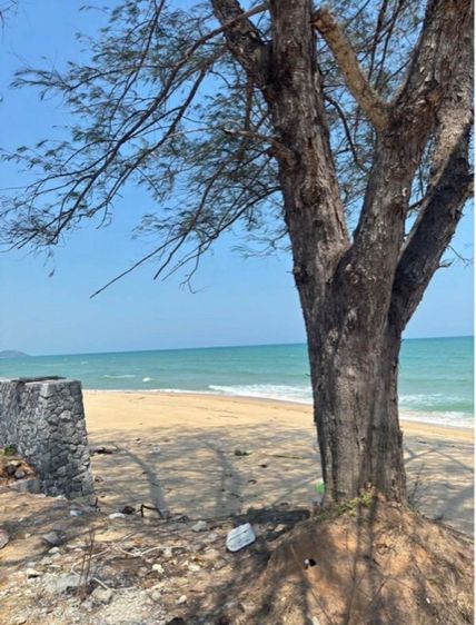 ขายที่ดินติดทะเลหาดส่วนตัวอำเภอบางสะพานจังหวัดประจวบคีรีขันธ์ รูปที่ 3