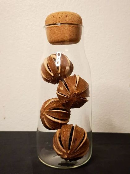 ขวดแก้วบรรจุผลไม้แห้งหอม

ที่ออกแบบมาเพื่อสร้างความผ่อนคลายและ

เติมเต็มความละมุนให้กับพื้นที่โปรดของคุณครับ