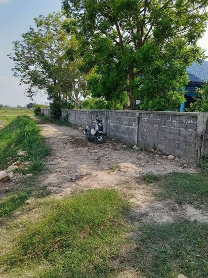 ใช่   ขายที่6ไร่อยู่ในชุมชนไร่ละ8แสน รูปที่ 2