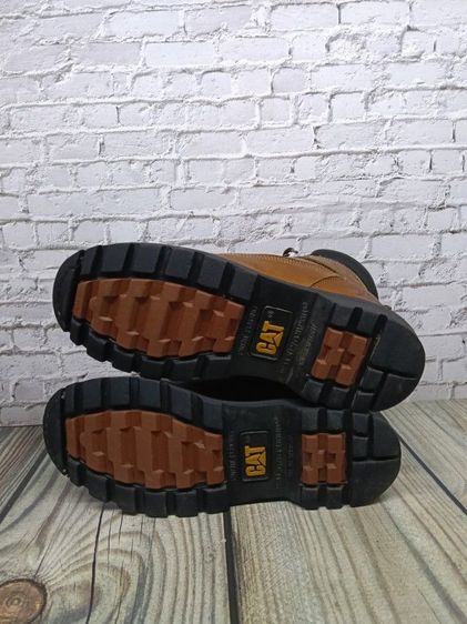 caterpillar size 43 รูปที่ 6