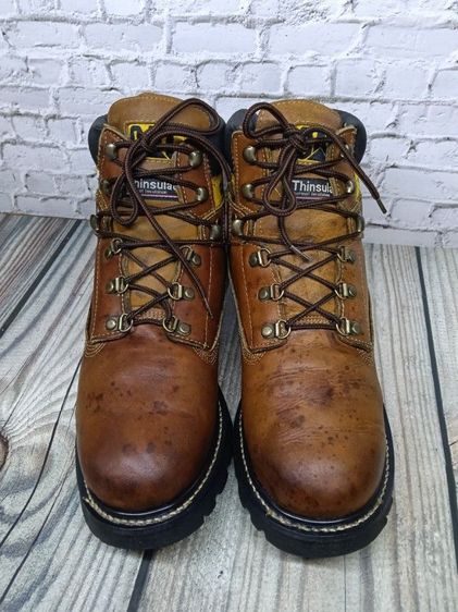 caterpillar size 43 รูปที่ 3