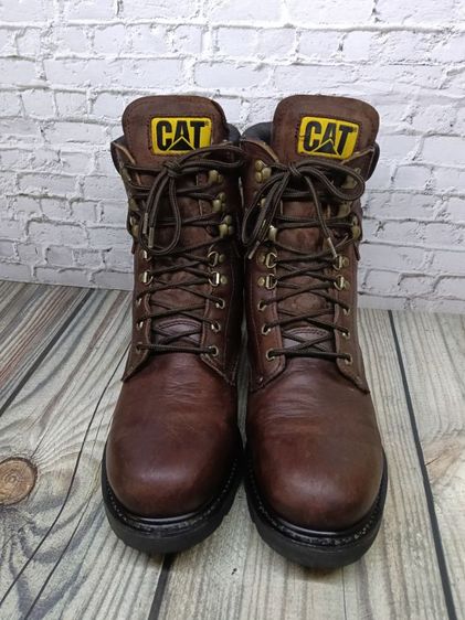 caterpillar 45 รูปที่ 4
