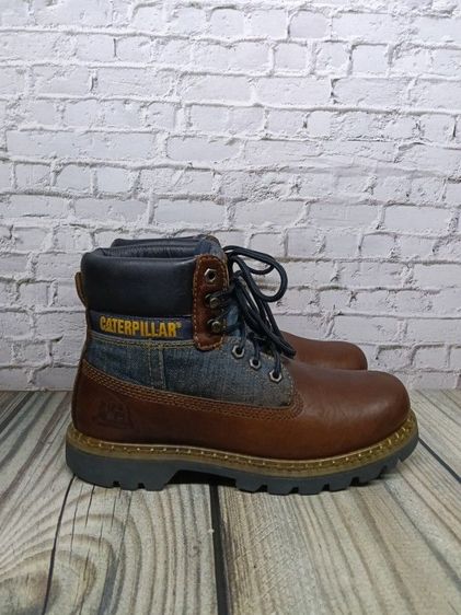 caterpillar 41 รูปที่ 2