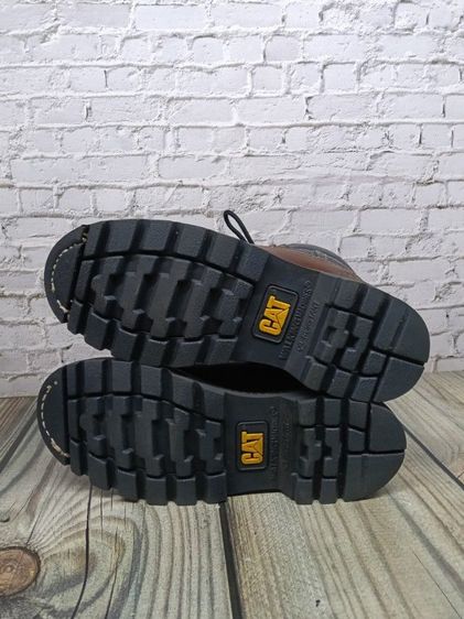 caterpillar 41 รูปที่ 6