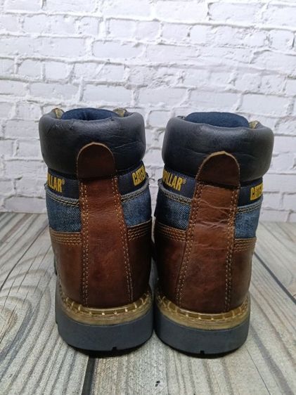 caterpillar 41 รูปที่ 4