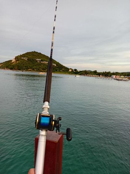 ขายคันเบ็ดพร้อมลอดไดว่าค รูปที่ 6