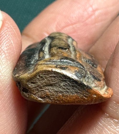 องค์ละ1550🙏พระกำแพงเปิดโลก ยืนตอเนื้อผ่านเขียวดำ🙏พระกำแพงลีลาเม็ดขนุน รูปที่ 9