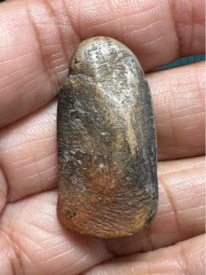 องค์ละ1550🙏พระกำแพงเปิดโลก ยืนตอเนื้อผ่านเขียวดำ🙏พระกำแพงลีลาเม็ดขนุน รูปที่ 2