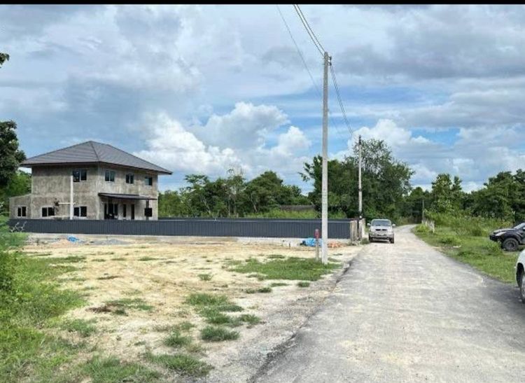 ขายที่ดิน107ตารางวา แม่ริมเชียงใหม่ผ่อนได้ รูปที่ 4