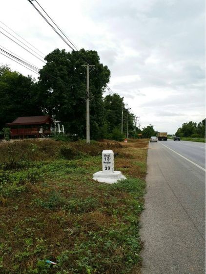 ที่ดินพิษณุโลก