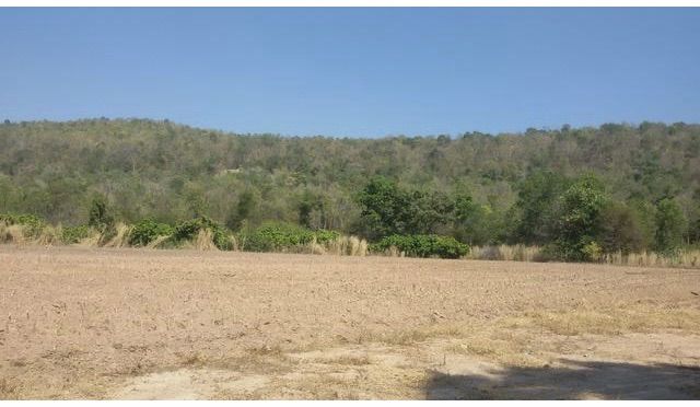 ที่ดินพิษณุโลก รูปที่ 3