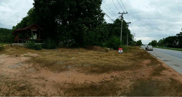 ที่ดินพิษณุโลก รูปที่ 2