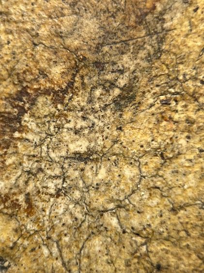 พระสมเด็จวัดระฆังพิมพ์แจกขุนนางมีหูสองข้าง ส่งตามรูป (107) รูปที่ 10