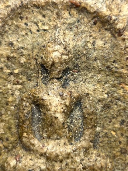 พระสมเด็จวัดระฆังพิมพ์แจกขุนนางมีหูสองข้าง ส่งตามรูป (107) รูปที่ 3