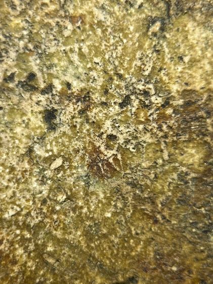 พระสมเด็จวัดระฆังพิมพ์เส้นด้าย เนื้อก้นครก ส่งตามรูป (108) รูปที่ 9