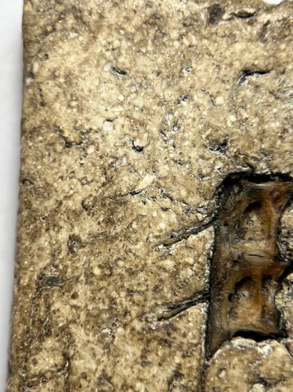 พระสมเด็จวัดระฆังพิมพ์ใหญ่ิ หลังก้างปลา ส่งตามรูป (109) รูปที่ 7