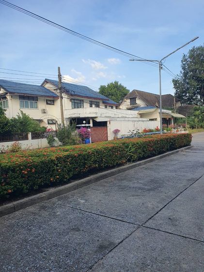 มีบางส่วน ขายที่ดินพร้อมสิ่งปลูกสร้าง 209 ตารางวา อยู่ห่างจากรถไฟฟ้า bts พหลโยธิน 59 400เมตร เดินทางสะดวกใกล้สถานที่สำคัญหลายแห่ง รูปที่ 2