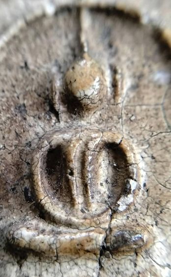 พระสมเด็จ วัดระฆัง บางขุนพรหม วัดเกศไชโย หลวงปู่ภู หลวงปู่นาค รูปที่ 14