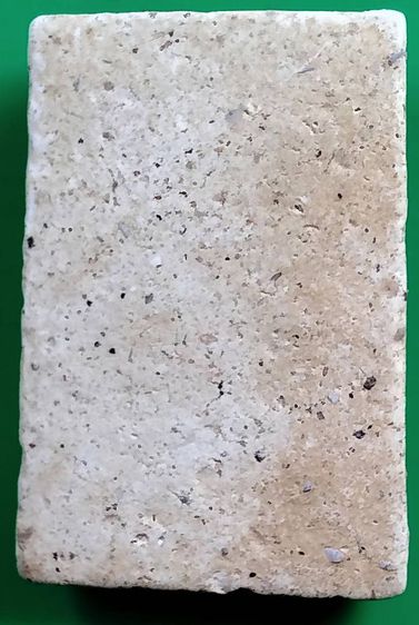 พระสมเด็จ วัดระฆัง บางขุนพรหม วัดเกศไชโย หลวงปู่ภู หลวงปู่นาค รูปที่ 9