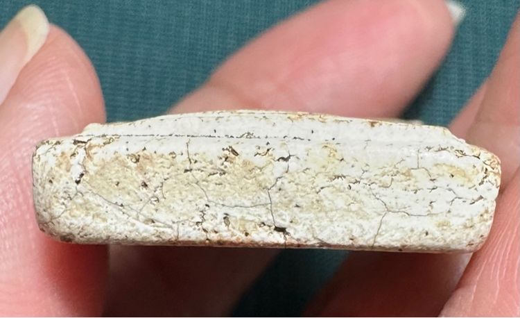 พระสมเด็จวัดเกศไชโย พิมพ์เจ็ดชั้น รูปที่ 13