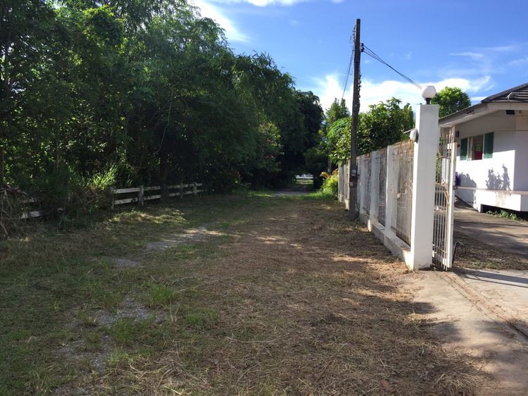 ตกแต่งครบ 2017 ขายบ้านเดี่ยว 122 ตรว. รูปที่ 2