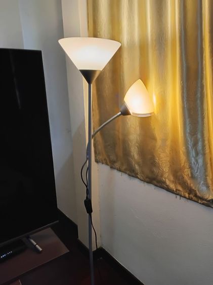 ขายเฟอรเหมาราคา 14000 รูปที่ 10