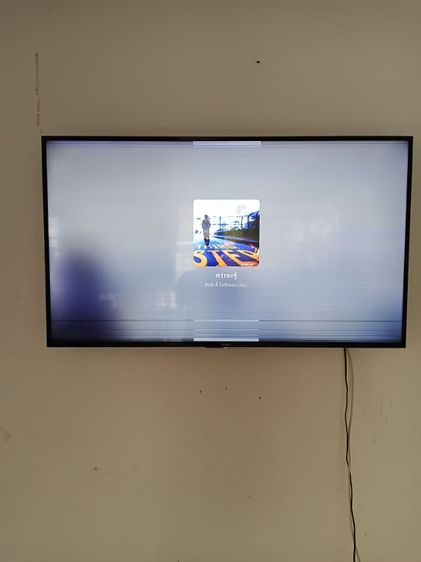 ขายเฟอรเหมาราคา 14000 รูปที่ 8