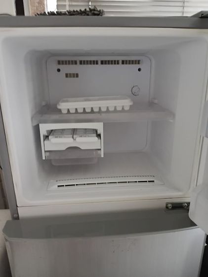 ขายเฟอรเหมาราคา 14000 รูปที่ 4