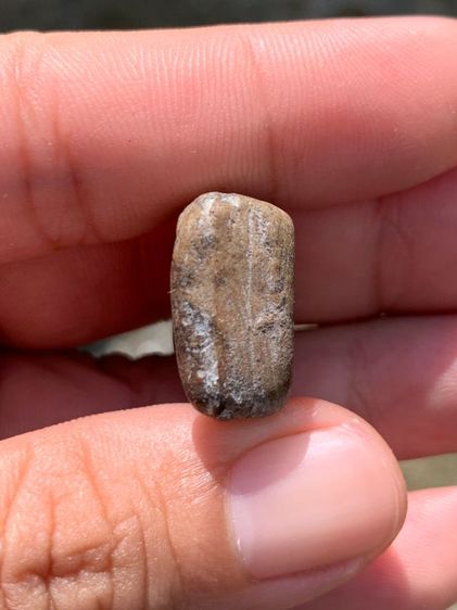 พระซุ้มกอ รูปที่ 5