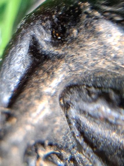 จุ่มรักปิดทองเนื้อผงคลุกรักเก่า เห็นเศษทองเก่ากระจายตามซอกพระ ไม่ทราบที่ รูปที่ 5