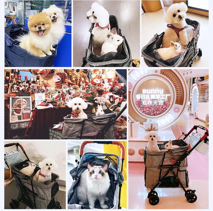 โปรเมษายน รถเข็นสัตว์เลี้ยง หน้าร้าน ถ.เทพรักษ์ บางเขน (เพ็ทพริตตี้) รูปที่ 7